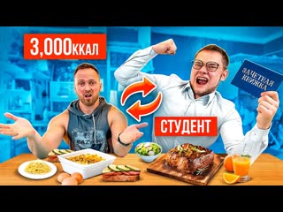 Алексей столяров 24 часа питаюсь как студент самый дешевый рацион 1080p