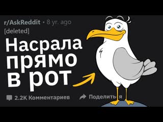 Тучный жаб что самое отвратительное было у вас во рту