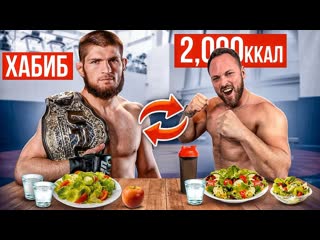 Алексей столяров 24 часа питаюсь как хабиб подготовка к бою хабиб vs гэтжи 1080p