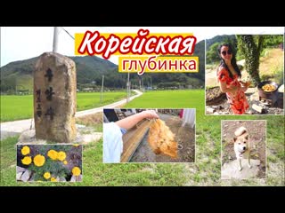 Love korea поймали курицу и приготовили плов на костре korea vlog 1440p