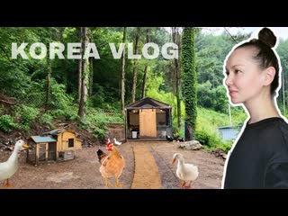 Love korea моя жизнь в корее о которой я мечтала korea vlog 1080p