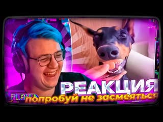 Ssaske нарезки пятрка пытается не засмеяться с unusual memes compilation v253