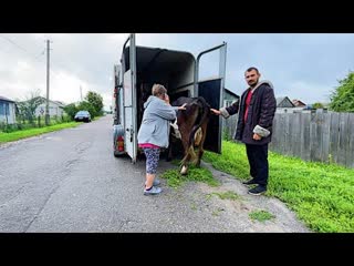 Дом у дороги деревенская жизнь мы купили новую корову пополнение в хозяйстве наша ферма жизнь простых людей