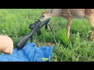 Best huntinggun fails compilation