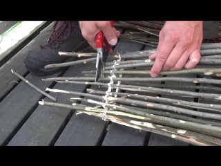 Primitive survival fish trap fish caught