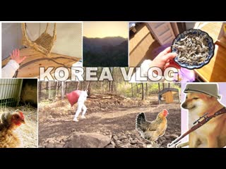 Love korea моя корейская дача с нуля привезла первых цыплят korea vlog 1080p