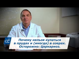 Доктор евдокименко почему нельзя купаться в прудах и иногда в озерах осторожно церкариоз зуд купальщика лечение 1080p