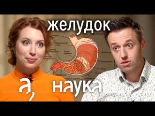 А поговорить откуда у нас изжога ожирение несварение и глисты доктор сергей вялов про желудок 1080p