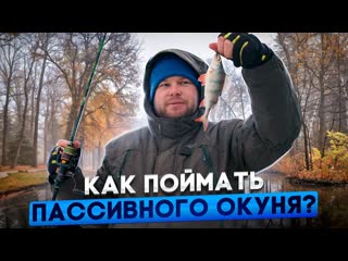 Люди у которых клют как поймать пассивного окуня 1080p