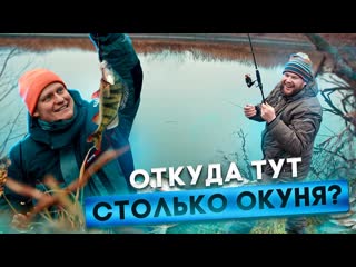 Люди у которых клют откуда тут столько окуня 1080p