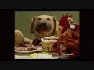 Гурманы за столом