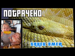 Потрачено потрачено танец змеи лучшие приколы смешные видео и фейлы 1080p