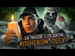 Дима масленников pognali show за мной следили тот самый лес в японии ghostbuster аналитика