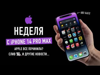 Wylsacom неделя с iphone 14 pro max apple все починила gta 6 слили wylsa plus apple special edition