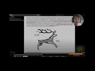 Protogames олени колонизаторы