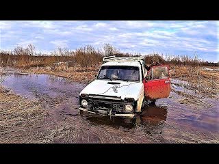 Вс из за метало копа вернулся вс затопило ниву тоже иду пешком на первый коп ловлю налима березовый сок