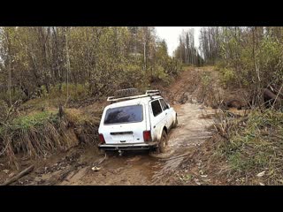 Вс из за метало копа восьмые сутки в тайге пробираюсь в верховья ищу старинную деревню неожиданный жор щуки