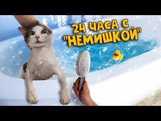 Sanishow 24 часа с котом из прошлого выпуска sani vlog