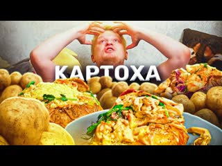 Oblomoff potato papa картоха на стероидах славный обзор