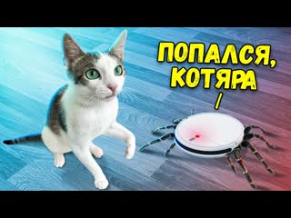 Sanishow 100 часов с котом из прошлого выпуска sani vlog