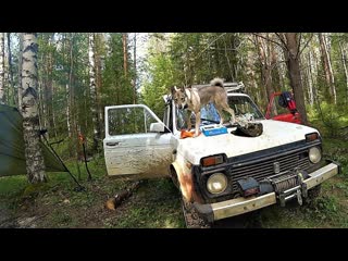 Вс из за метало копа жестокая экспедиция зимник болотаoff road груз с тажного урочища