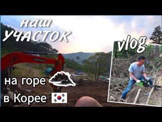 Love korea как изменился наш участок korea vlog