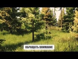 Distruct bear или usec какую фракцию выбрать побег из таркова tarkov eft