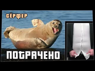 Потрачено срфер лучшие приколы 2021 смешные видео фейлы