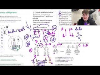 Ege hub биология егэ 2024 морган практика