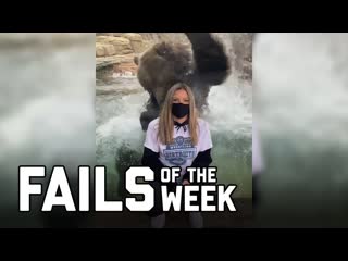 Failarmy bear with me fails of the week january 20210