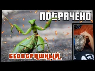 Wasted потрачено бесстрашный лучшие приколы 2021 смешные видео и фейлы