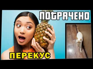 Wasted потрачено перекус лучшие приколы 2021 смешные видео и фейлы