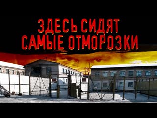 Daifivetop самая страшная тюрьма россии правда о полярной сове