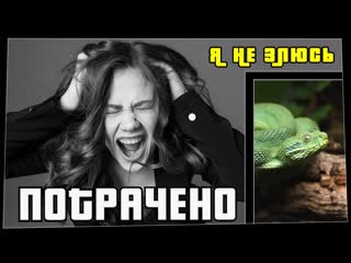 Потрачено потрачено я не злюсь лучшие приколы 2021 смешные видео и фейлы