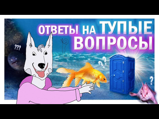 Жмурка ты хотел это узнать вопросы 4 часть