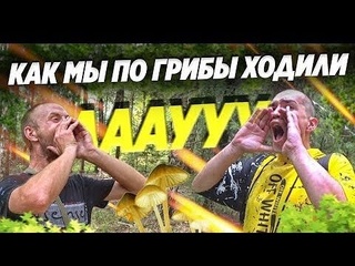 Хочу пожрать tv поход за грибами в сухой лес с бригадой готовим картошку на квадрате веслый выпуск перезалив