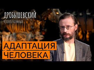 Rtvi развлечения как среда формировала человека и как он адаптировался