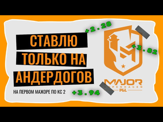 Vladlen1n ставил все время на андердогов на первом мажоре по кс 2 что получилось выиграть