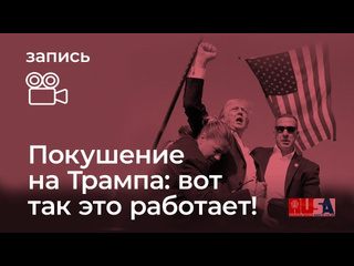 Litvin tv александр литвин покушение на трампа вот как это работает