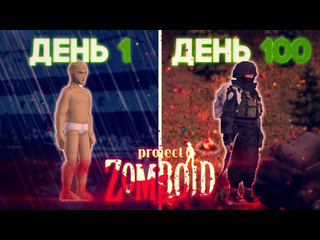 Метл 100 дней хардкора в project zomboid