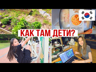 Love korea соскучилась по детям и приехала домой korea vlog