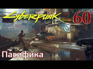 Adonis cyberpunk 2077 максимальное прохождение 60 пасифика