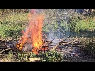 Четвероногие друзья боня теперь с нами ездит на участок нашли еще одну хозяйкуона пришла когда мы до поздна убирались