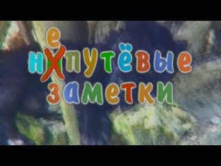 Непутвые заметки орт 02021997 г бостон