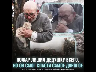 Дедушка и кот рифмы и панчи