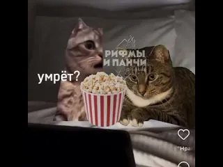 Это точно мы рифмы и панчи