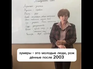 Зумерские слова объясняет препод рифмы и панчи