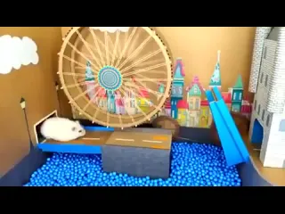Бег с препятствиями