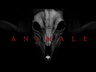 Aim to head official dark techno ebm industrial bass mix animale copyright free