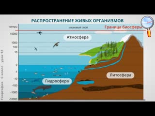 География 6 класс урок13 биосфера земная оболочка